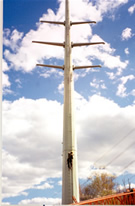 Tubular structure &ndash; 315 kV