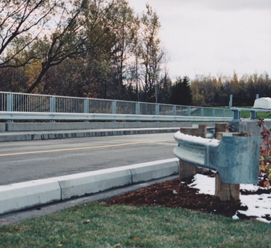 Security Guardrails curved